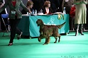 Crufts2011 777